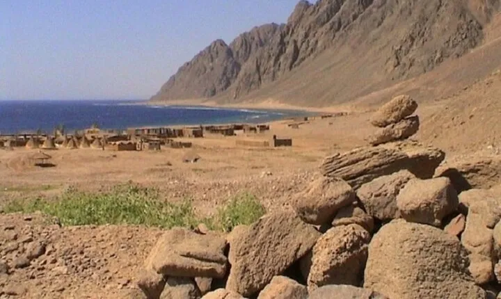 3 Pools National Park ATV Quad & Camel by Bus - Sharm El Sheikh