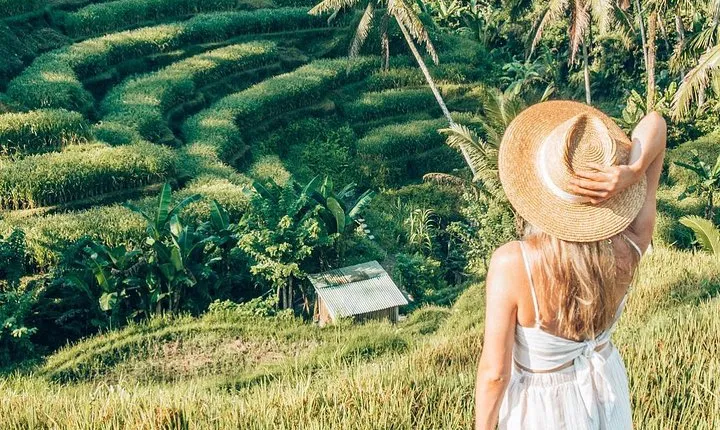 Bali Full-Day Sightseeing Trip with Lunch