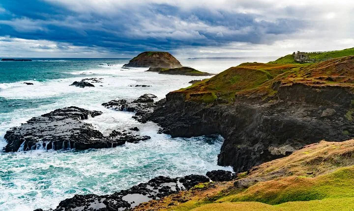 Phillip Island Private Tour: Penguin Parade & Wildlife Day