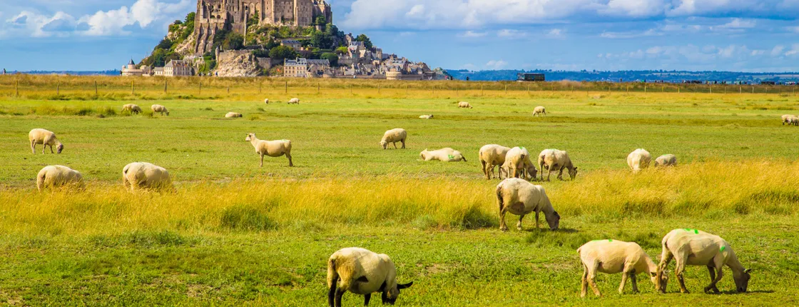 Tickets for the Abbey of Mont Saint-Michel with transport from Paris