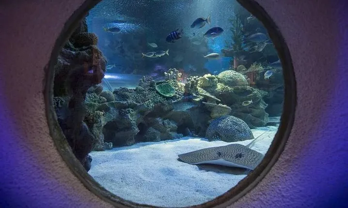 Malaysia: Aquaria KLCC Entry Ticket