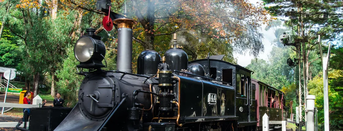 Puffing Billy and Healesville Sanctuary scenic bus tour