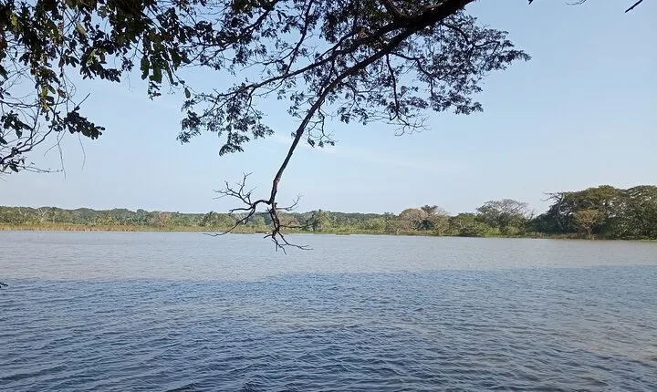 Kandy to Anuradhapura Tour