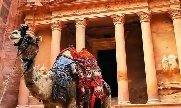Full Day Petra and Wadi Rum Tour from Amman