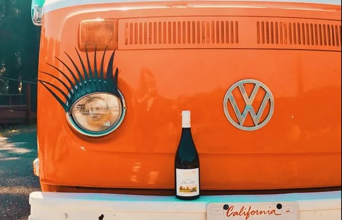 Painted Ladies Wine Country Tour