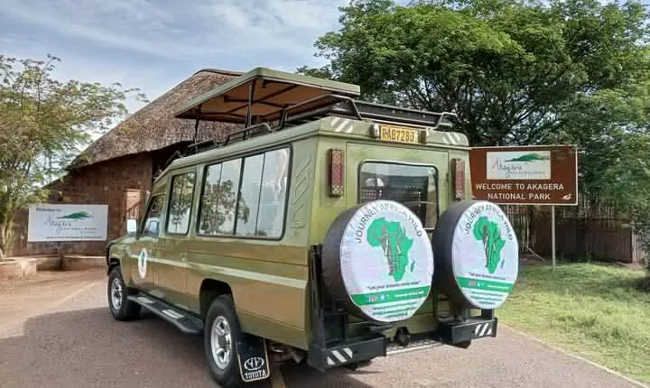 Full-Day Private Safari of Akagera National Park with Lunch