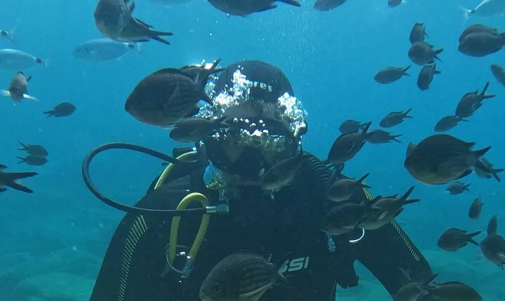Dive The Rock (Scuba Diving Experience in Protaras)