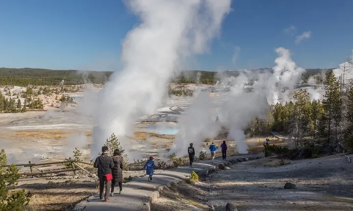 Yellowstone in a Day - Wildlife, Canyons, & Hot Springs