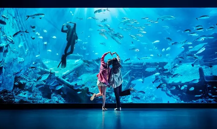 S.E.A. Aquarium Singapore [E-Voucher]