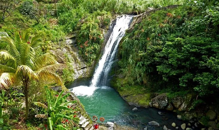 Full-Day Tour: Concord Waterfall, Chocolate Factory, Rum Distillery, Grand Etang