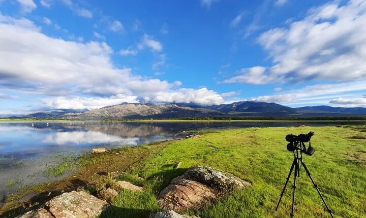 Private Half-Day Birding Tour in Santillana Reservoir Madrid