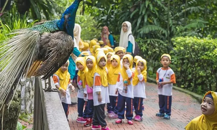 Bird Park & Butterfly Farm Nature Tour From Kuala Lumpur