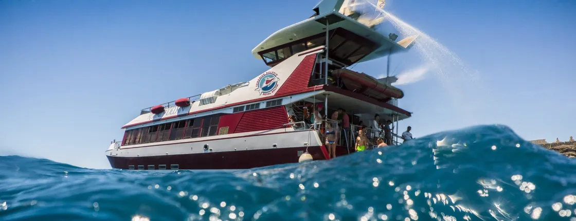 Underwater vision catamaran cruise along Tenerife southwest coast