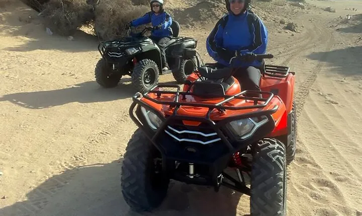Quad tour in the palm grove desert