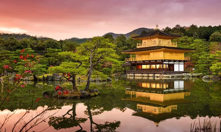 Kyoto Highlights: Half Day Customized World Heritage Walking Tour