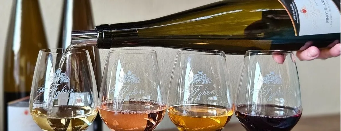 Domaine Fahrer et Fils guided tour with wine tasting