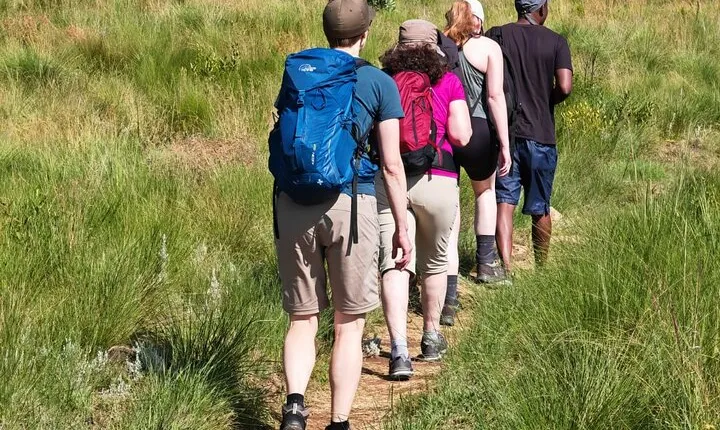 Cradle of Humankind Tour