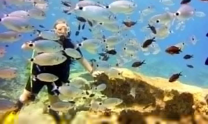 Private Scuba Diving Experience in Green Bay