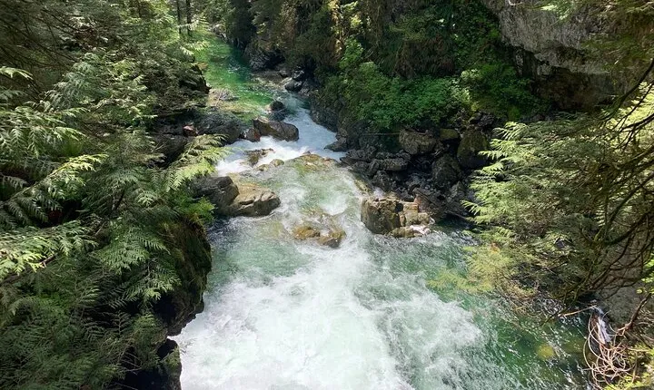 Vancouver Rainforest Hike with Waterfalls, Suspension Bridge, Old Growth Forest