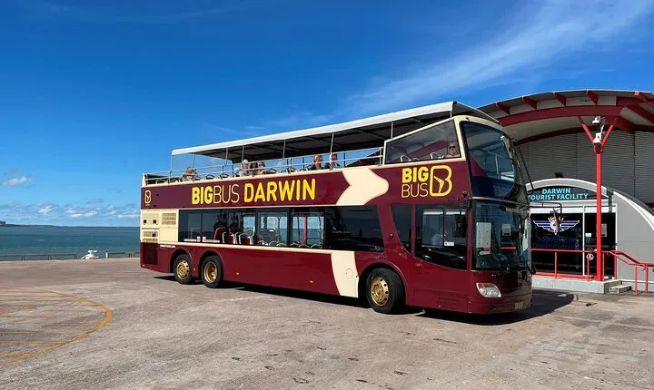 Darwin Shore Excursion: Hop-on Hop-off Bus Tour