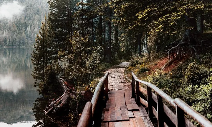 North Montenegro Tour:Žabljak - NP Durmitor - Black Lake - Đurđevića Tara Bridge