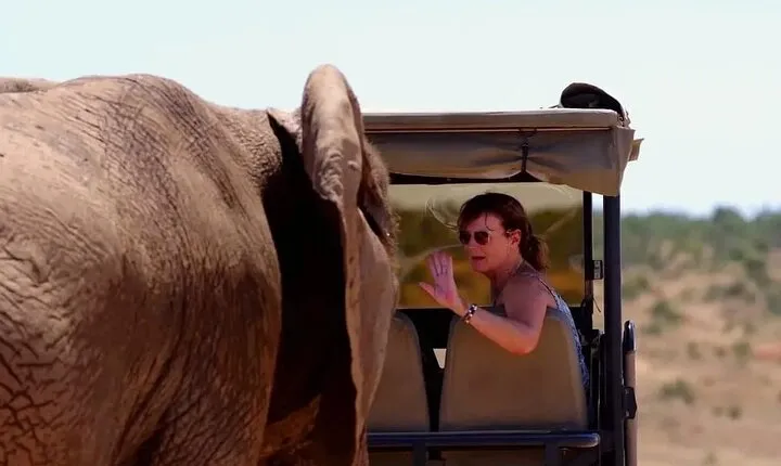 Half Day Guided Safari in Addo Elephant National Park