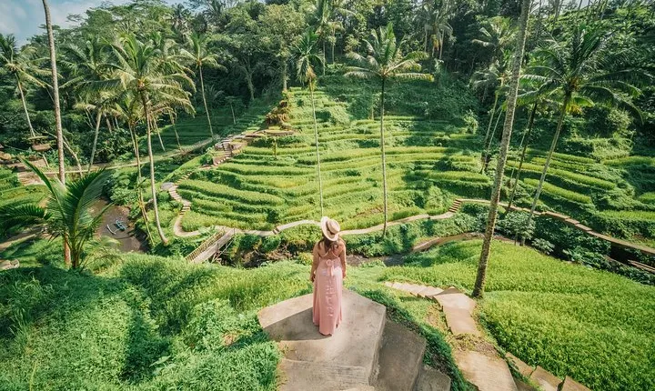 Private Ubud Highlight Full Day Tour with English Speaking Driver