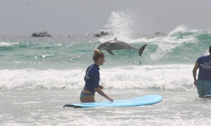2 Hour Ultimate Learn to Surf Adventure