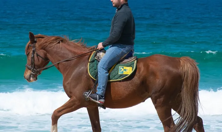 Horse Riding on Melides Beach