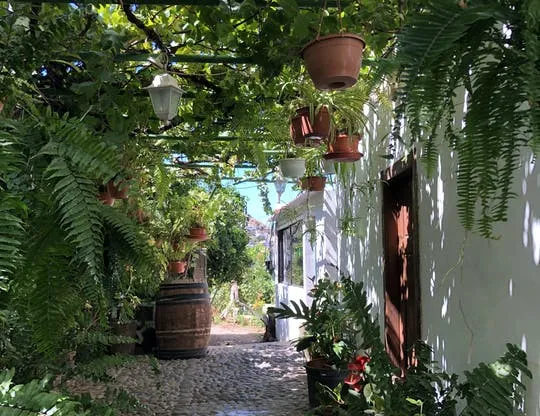 Tastes of Gran Canaria Private Tour