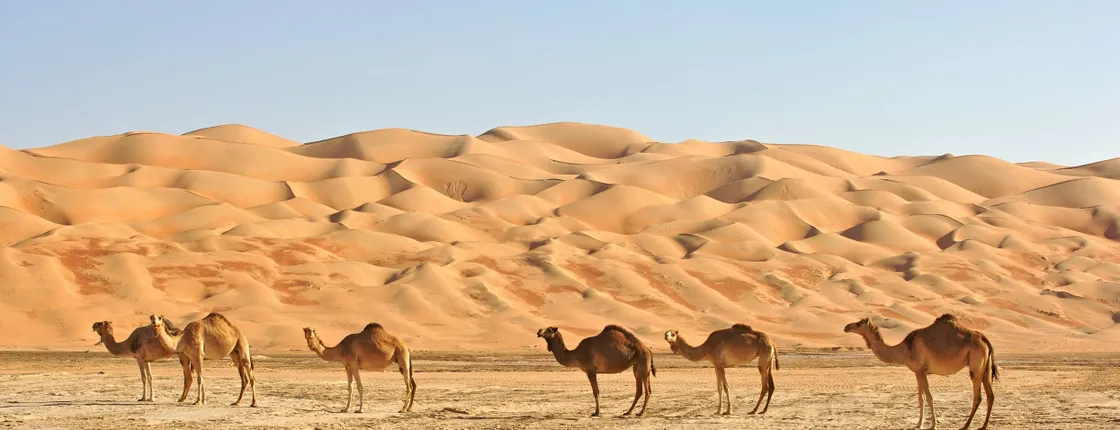 Best of Oman full-day 4WD private tour in Wahiba Sands