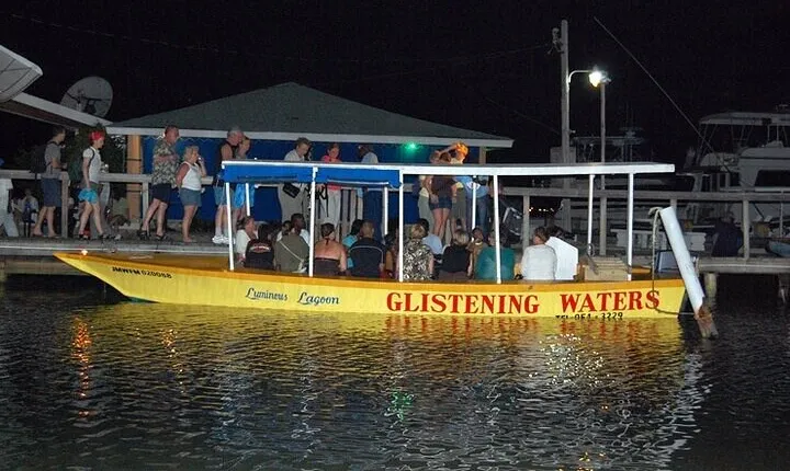 Luminous Lagoon Tour