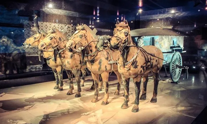 Private Half-Day Tour of Xi'an Terracotta Warriors
