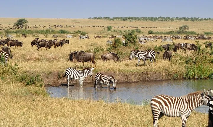 3 Day Maasai Mara Budget Adventure Tour