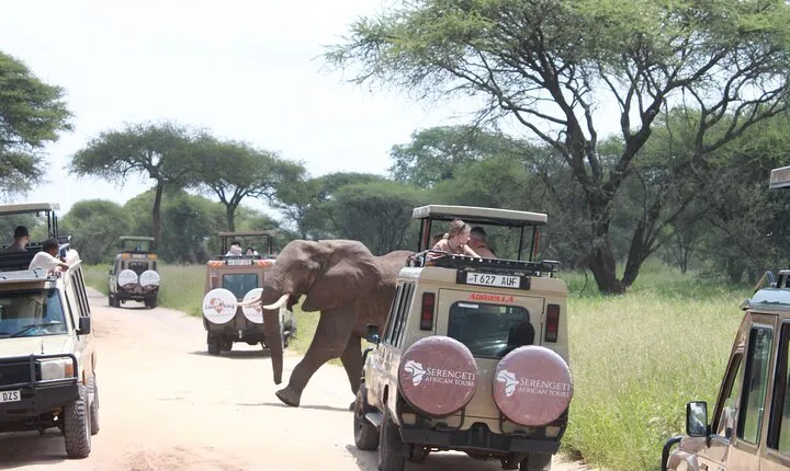 5 Day Mid range Tanzania Safari