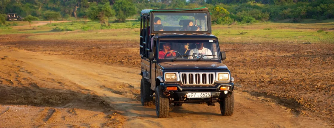Yala National Park Safari, Ella, and Nuwara Eliya Two-day Tour