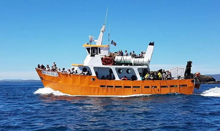 Dalkey Island Boat Tour