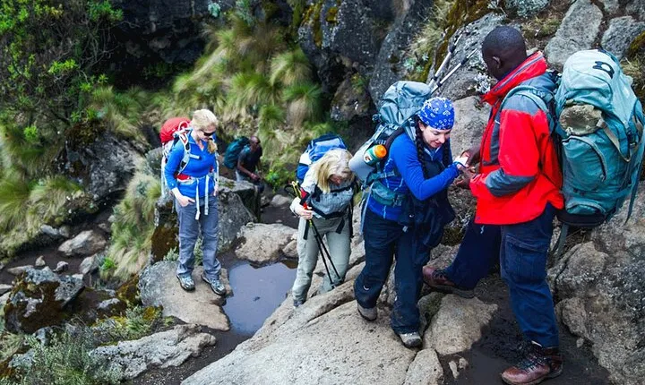 Mount Kilimanjaro 4WD Shared Adventure