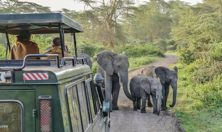 3 Days Serengeti Park & Ngorongoro Crater Adventure Safari
