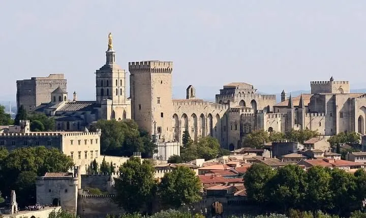 Full private day Avignon Chateuneuf du pape wine tasting