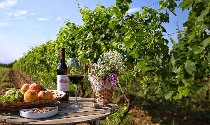 Private Full-Day Vintage Grape Harvest Festival with Lunch
