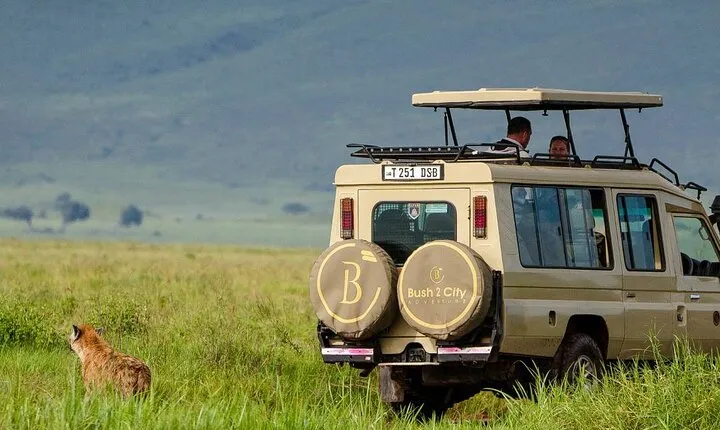 6-Day Tanzania Safari Experience – Midrange