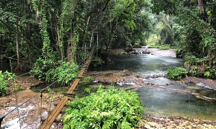 Bridges of Eden with Yumi Tours