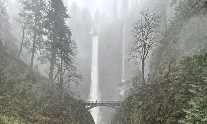 Multnomah Falls Tour with VIP Transportation