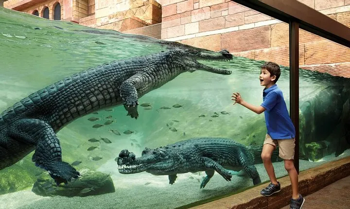 Singapore Bird Park & River Wonder (Tickets & Transfer )