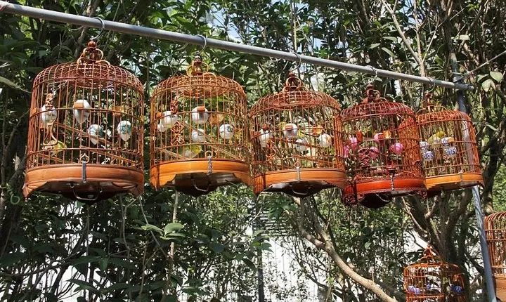 6-Hour Private Beijing Tour: Flower and Fish Market, Panjiayuan Antique Market and 798 Art Zone