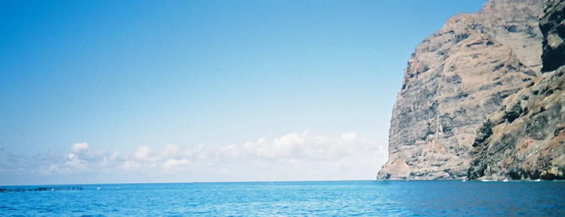 Luxury whale and dolphin watching experience