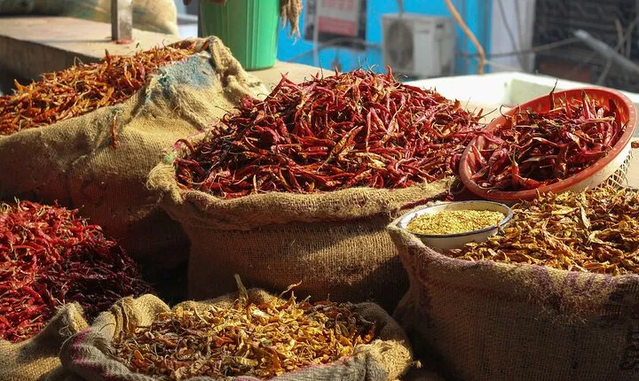 Old Delhi & Spice Market Tour