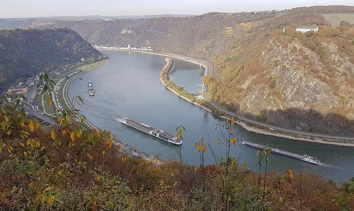 Excursion from Frankfurt to Rüdesheim - Half day
