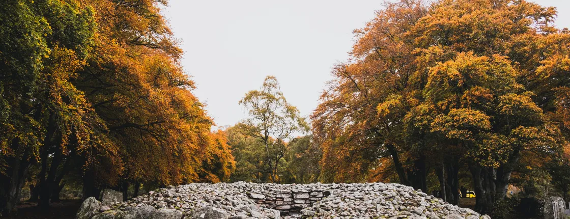 Glen Affric, Culloden and Clava Cairns tour from Inverness
